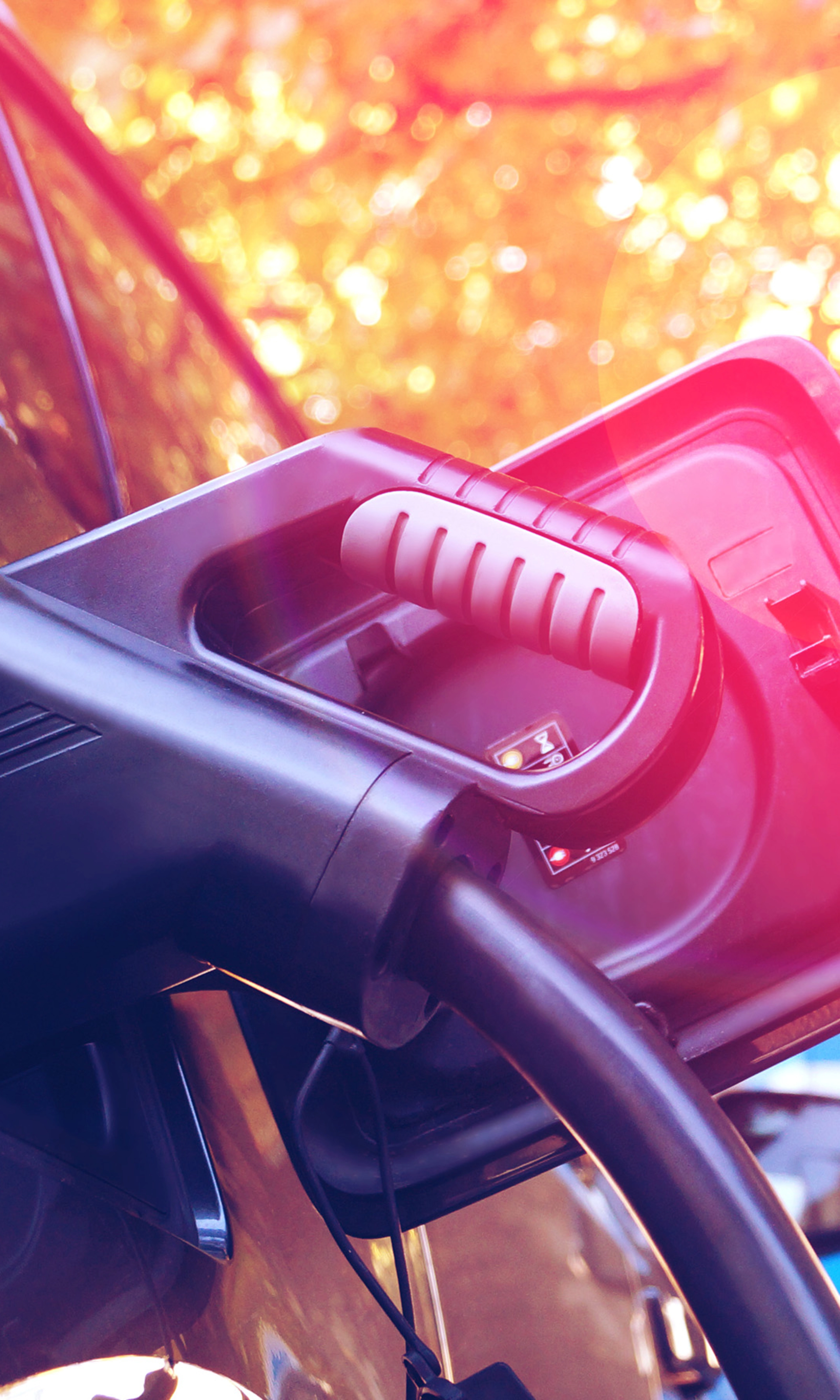Elektroauto lädt an einer Station im herbstlichen Sonnenlicht mit Bäumen im Hintergrund.
