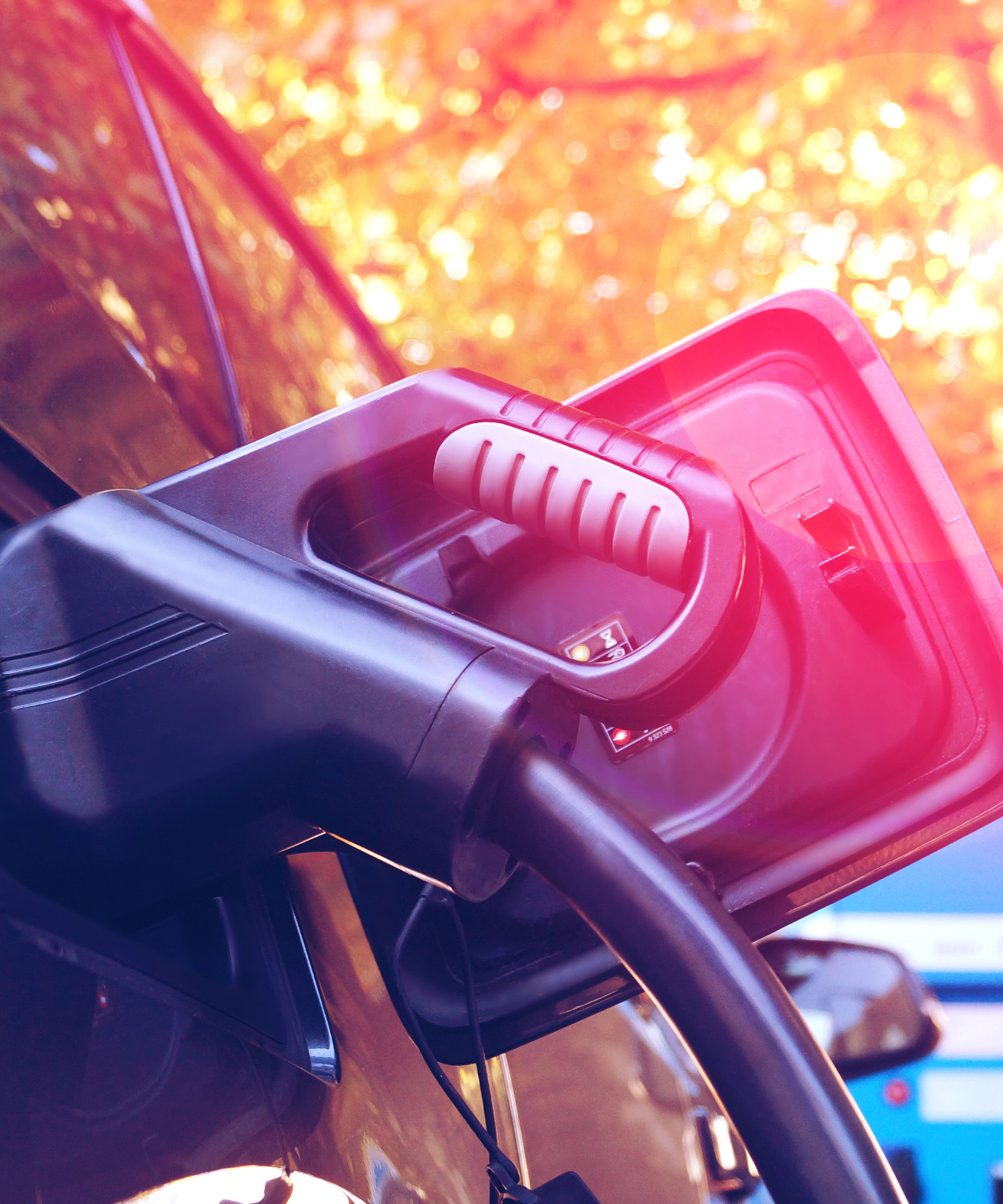 Elektroauto lädt an einer Station im herbstlichen Sonnenlicht mit Bäumen im Hintergrund.